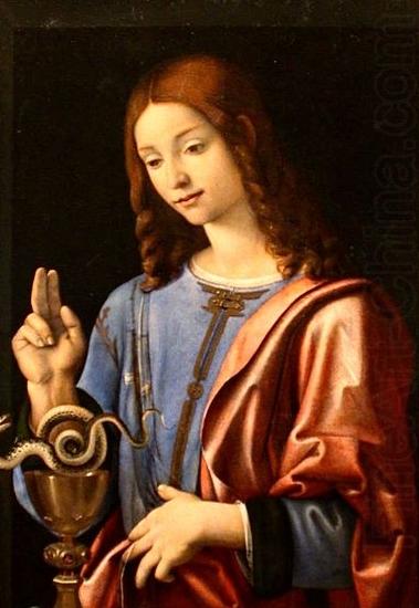Piero di Cosimo Evangelist china oil painting image